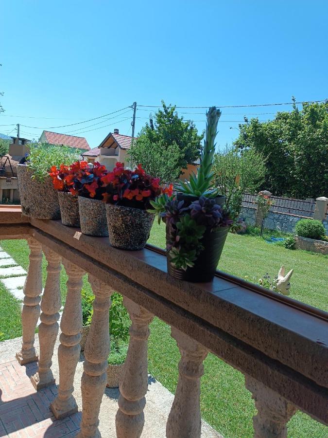 NikšićCalm Nest公寓 外观 照片