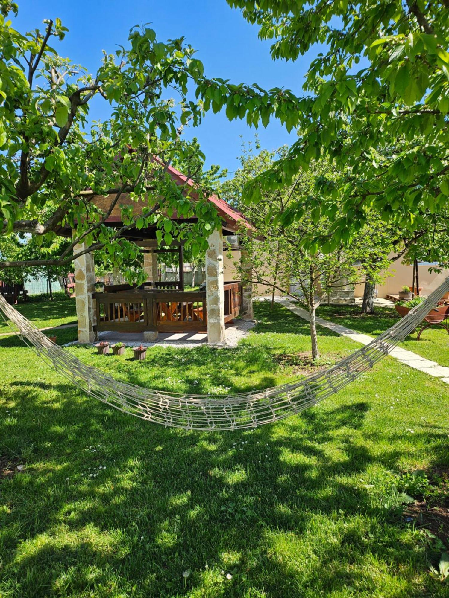 NikšićCalm Nest公寓 外观 照片